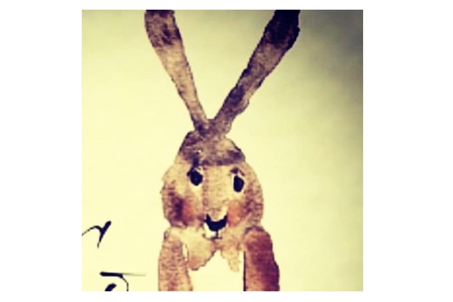 Rabbit & Co Caterers